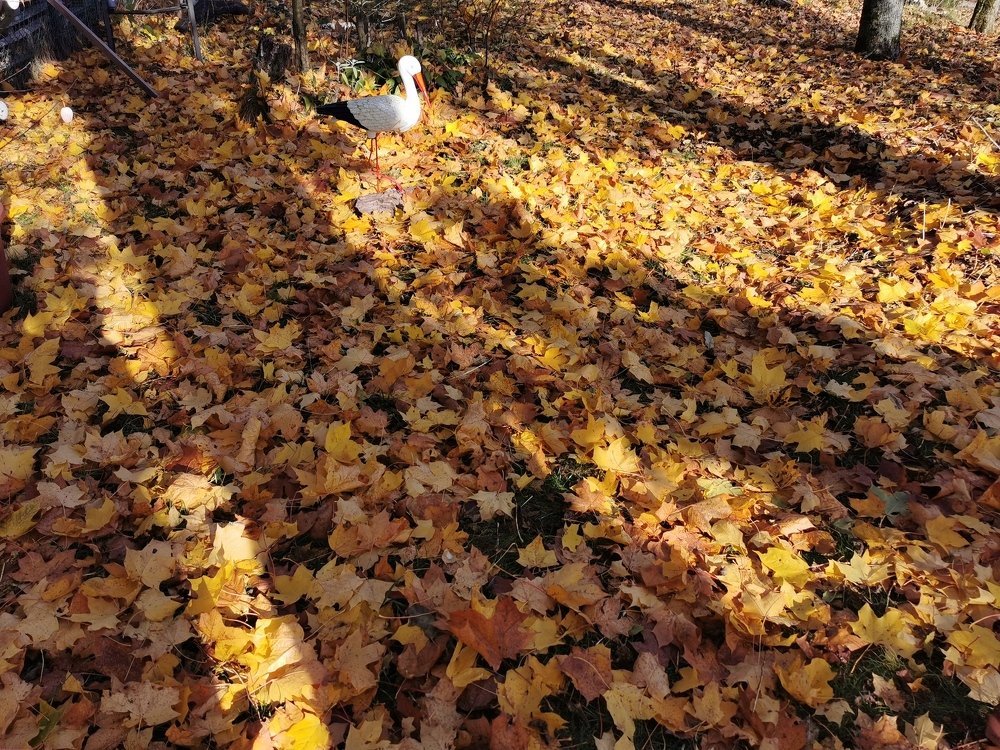 Photograph by Рутковская Жанна