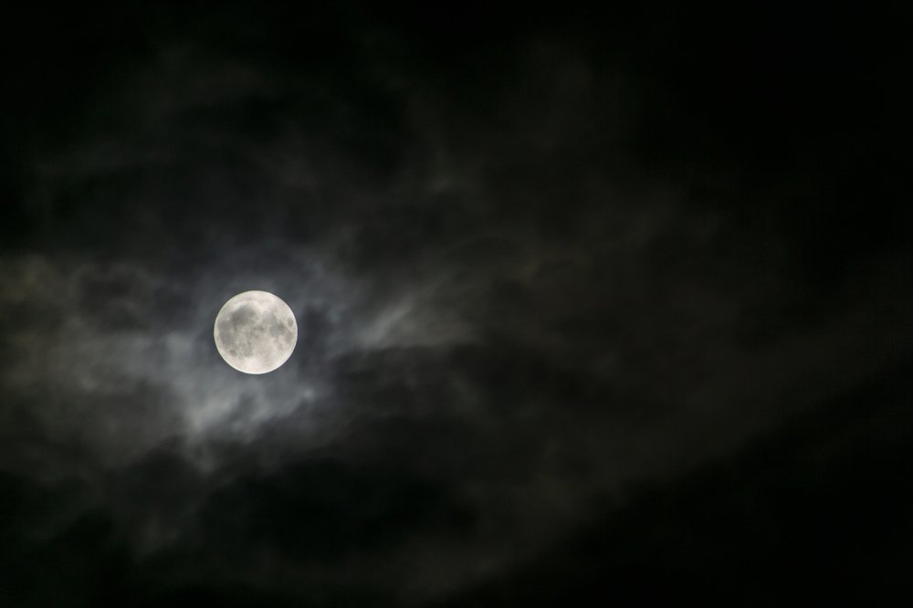 Photograph by Евгений Козлов