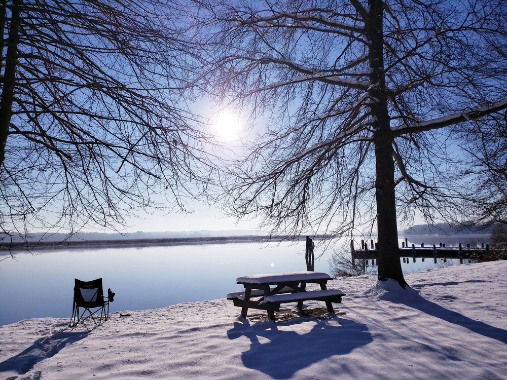 Photo #3734111