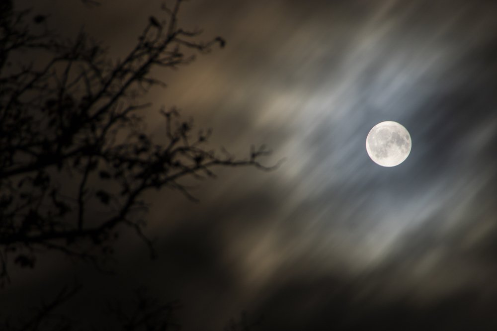 Photograph by Евгений Козлов