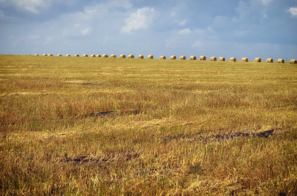 Photograph by Синегубова Ольга