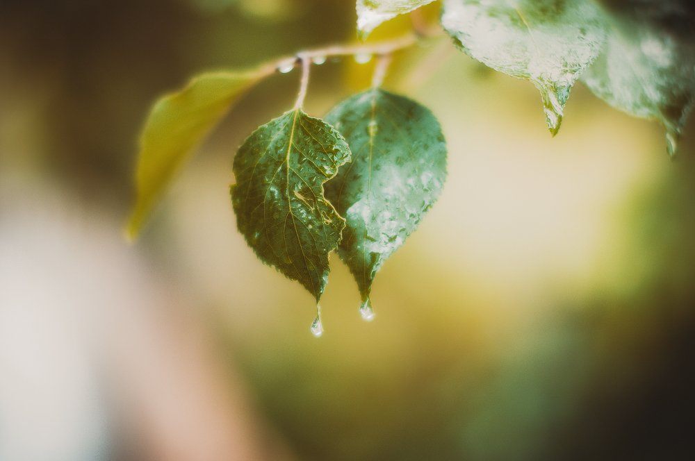 Photograph by Ольга Могдалёва