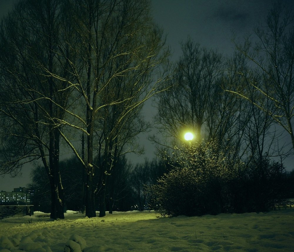 Фотография автора Valery Bel@kov