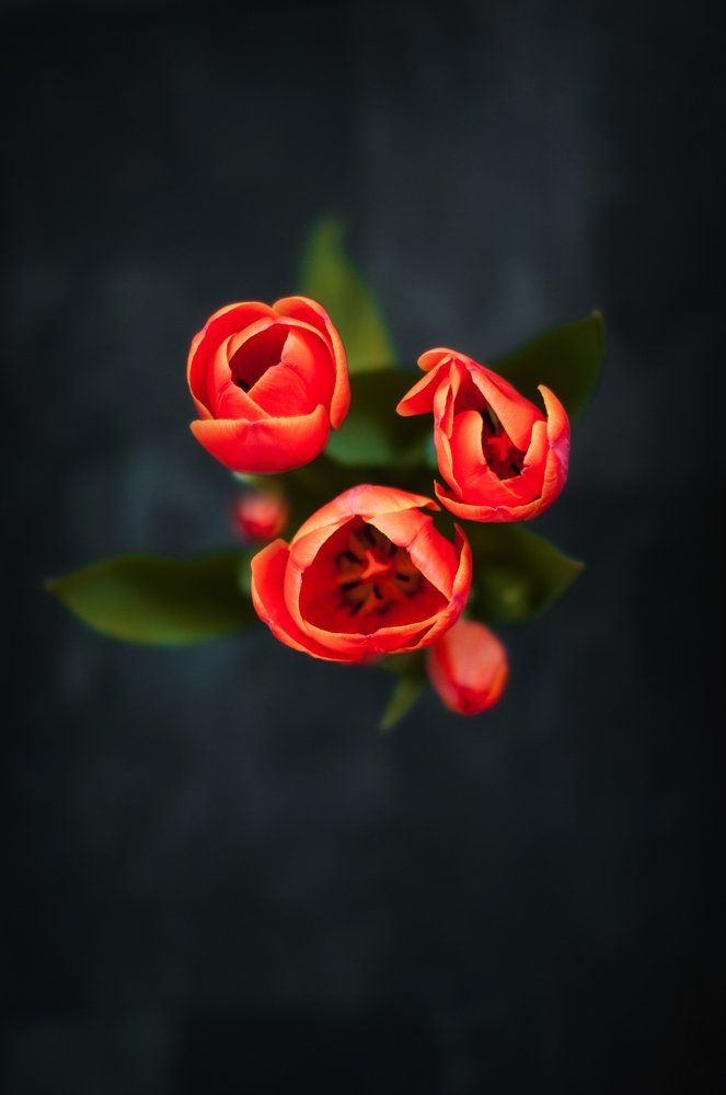 Photograph by Ольга Могдалёва