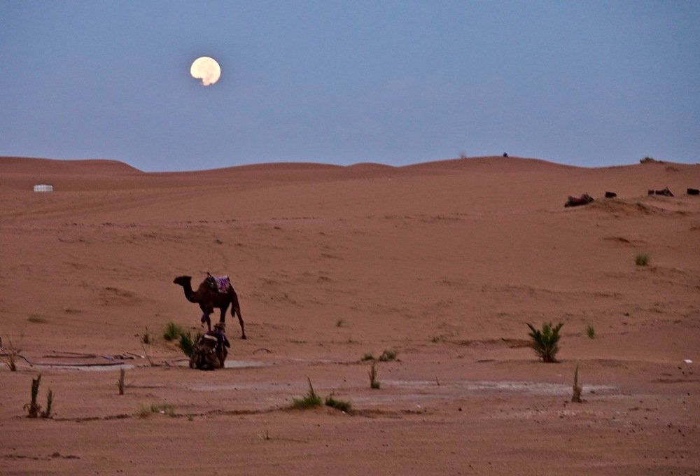 Заход Луны в пустыне