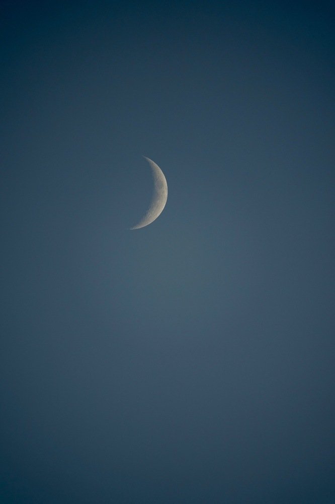 Молодой месяц