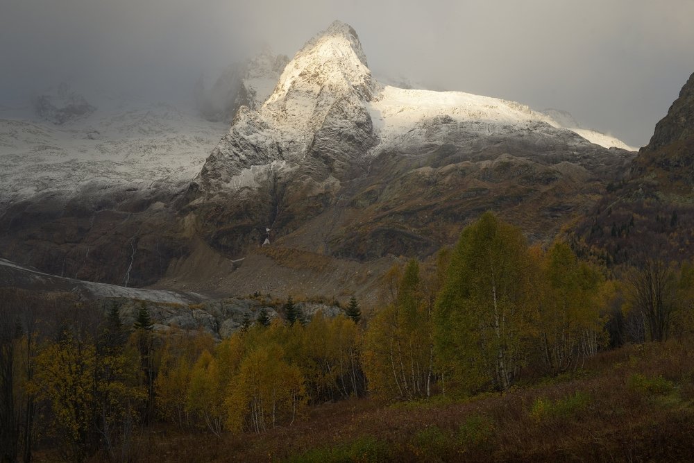 Осеннее утро