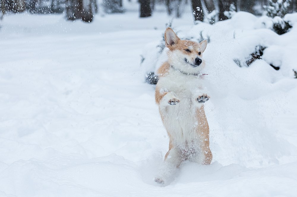 Photograph by Анна Гвоздовская