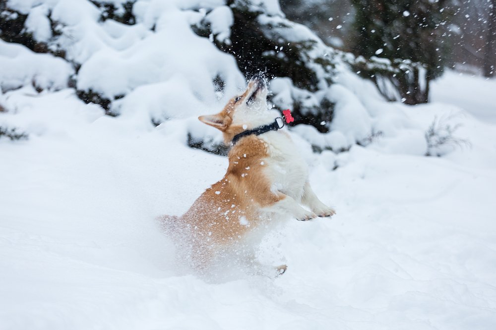 Photograph by Анна Гвоздовская