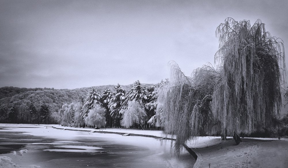 Фотография автора Шипунова Ирина