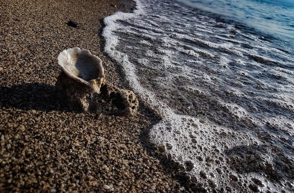 Photograph by Iin Fortunata Angelina