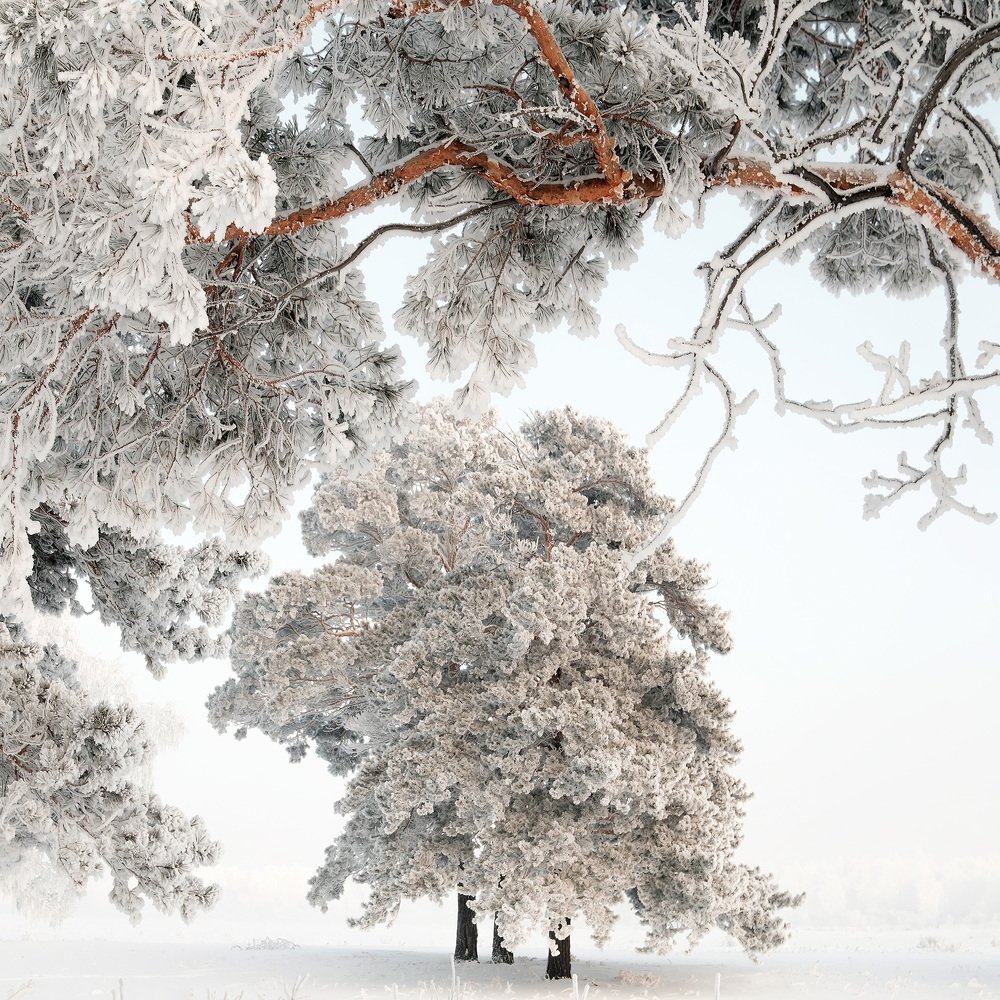 Photograph by Константин Леонтьев