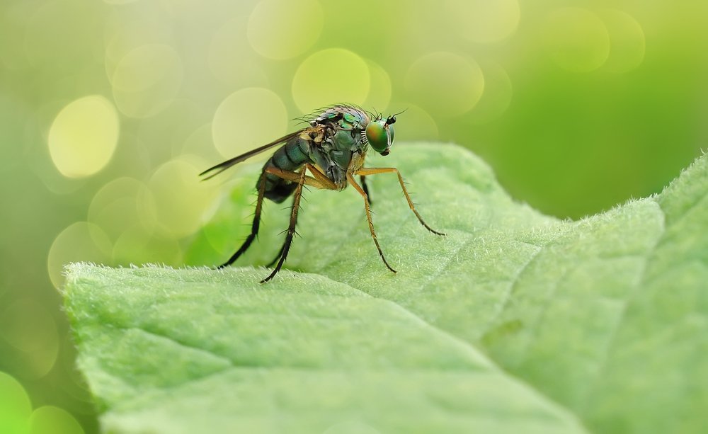 Фотография автора Димитрий Евтушик
