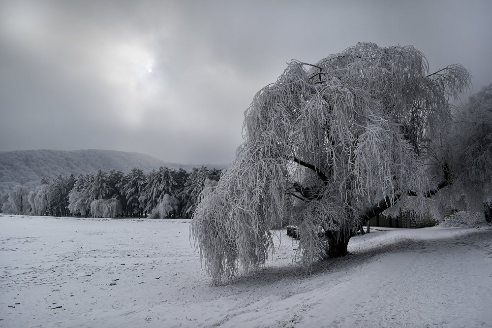 Фотография автора 