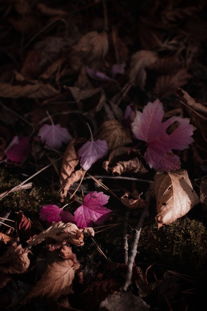 Photograph by Елена Хорошильцева