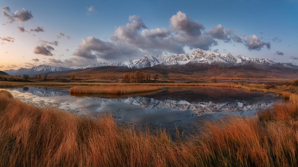 Сонные травы