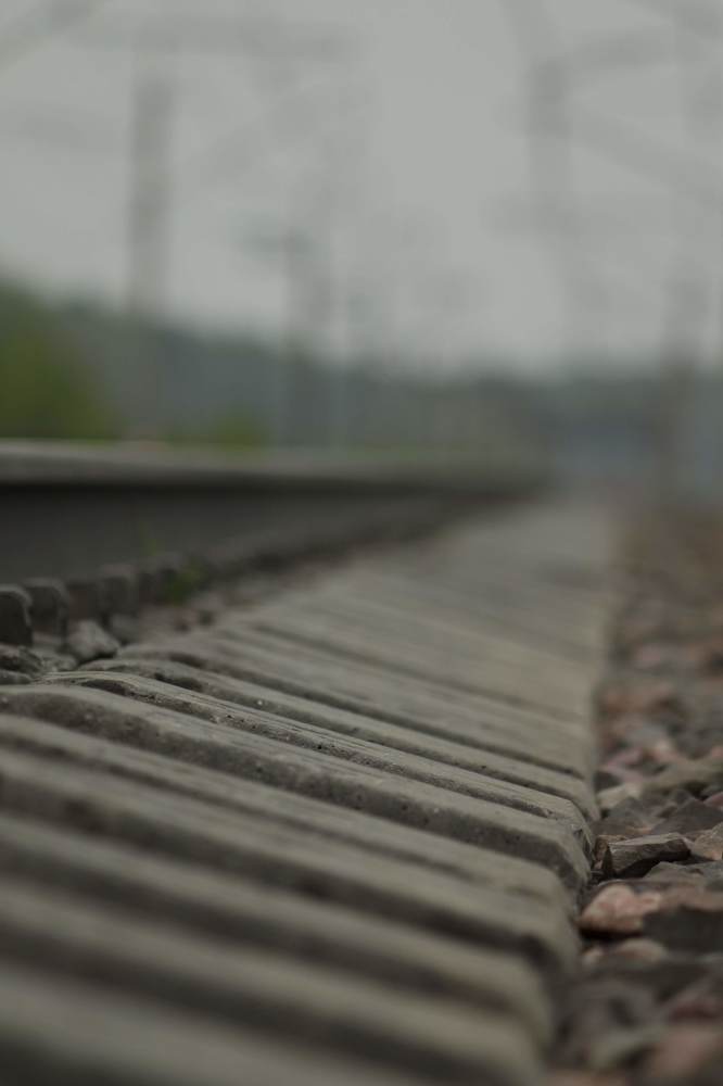 Photograph by Елена Хорошильцева