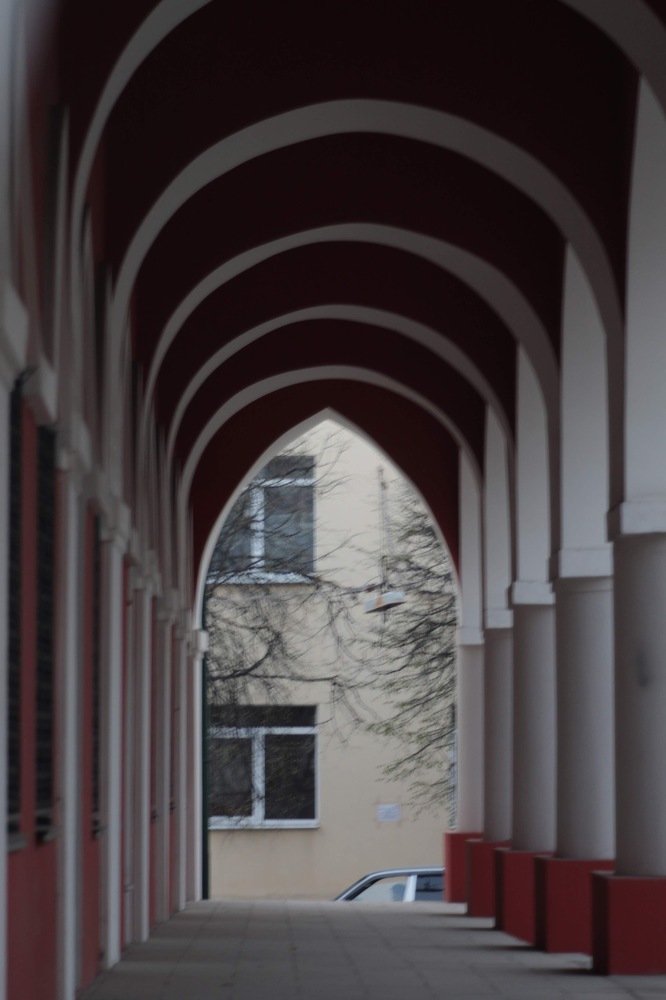 Photograph by Елена Хорошильцева