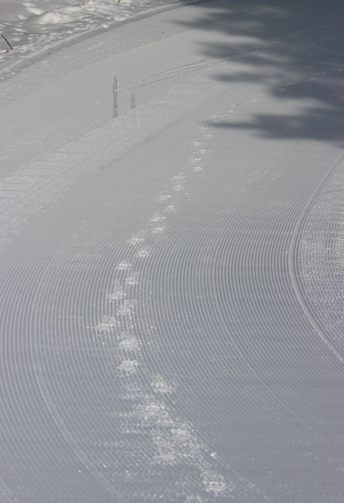 Гофрированная биатлонная трасса