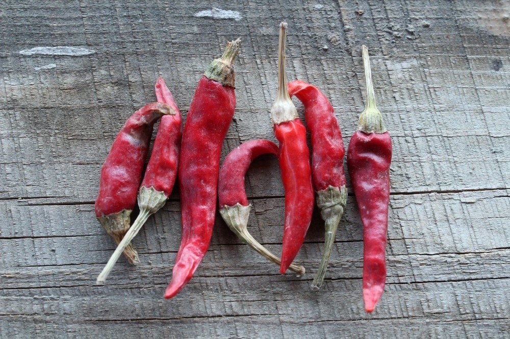 Photograph by Адель Магаева