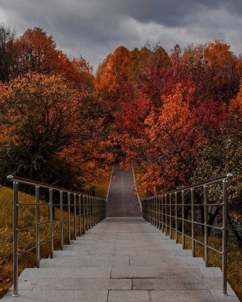 Фотография автора Алина Черняева