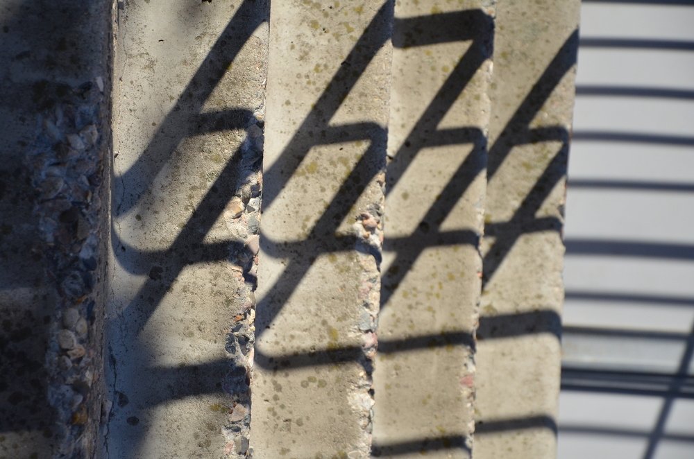 Фотография автора Алина Черняева