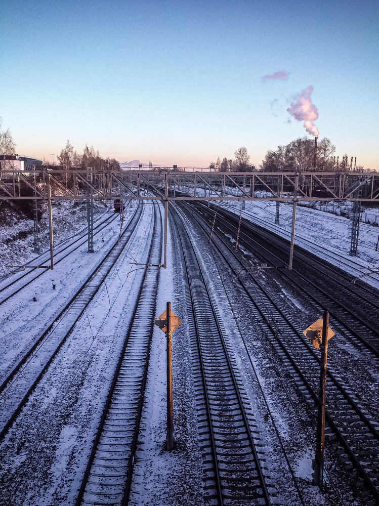 Фотография автора Алина Черняева