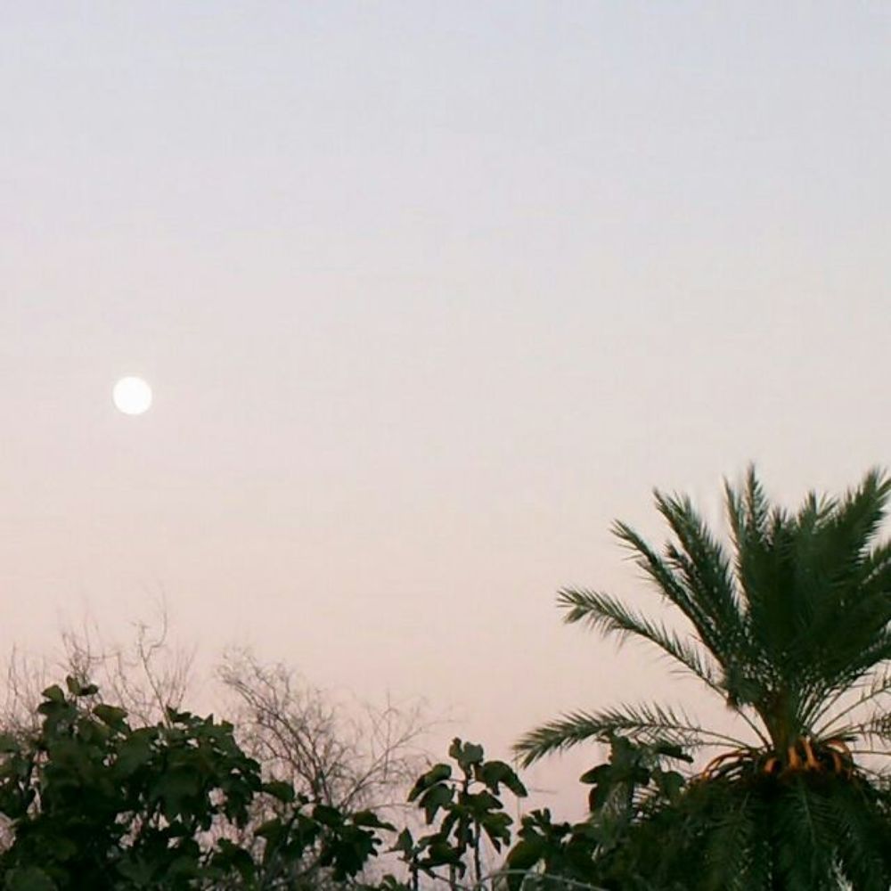 Photograph by Nour Med