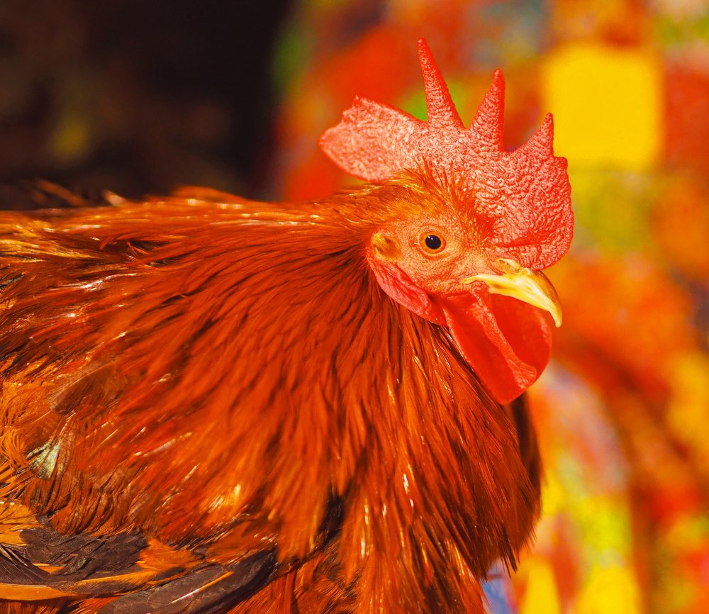 Photograph by Любовь Пилюк