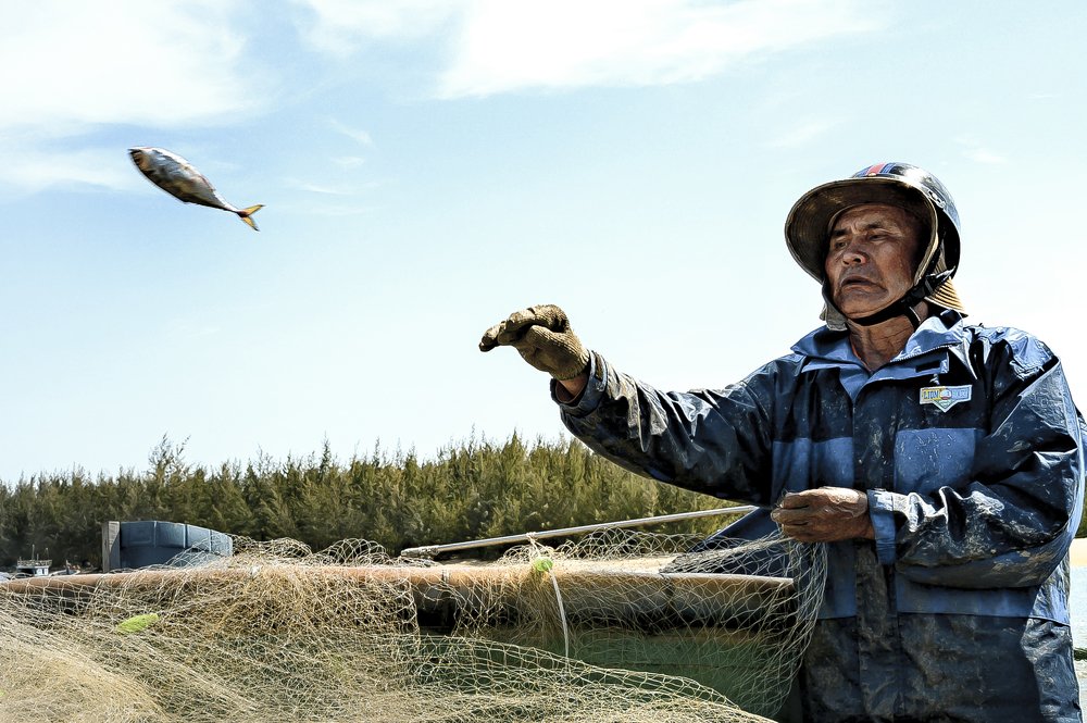 VUỘT KHỎI TẦM TAY