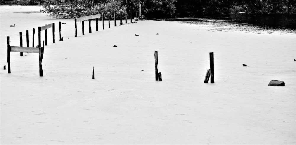 Photograph by José Silva