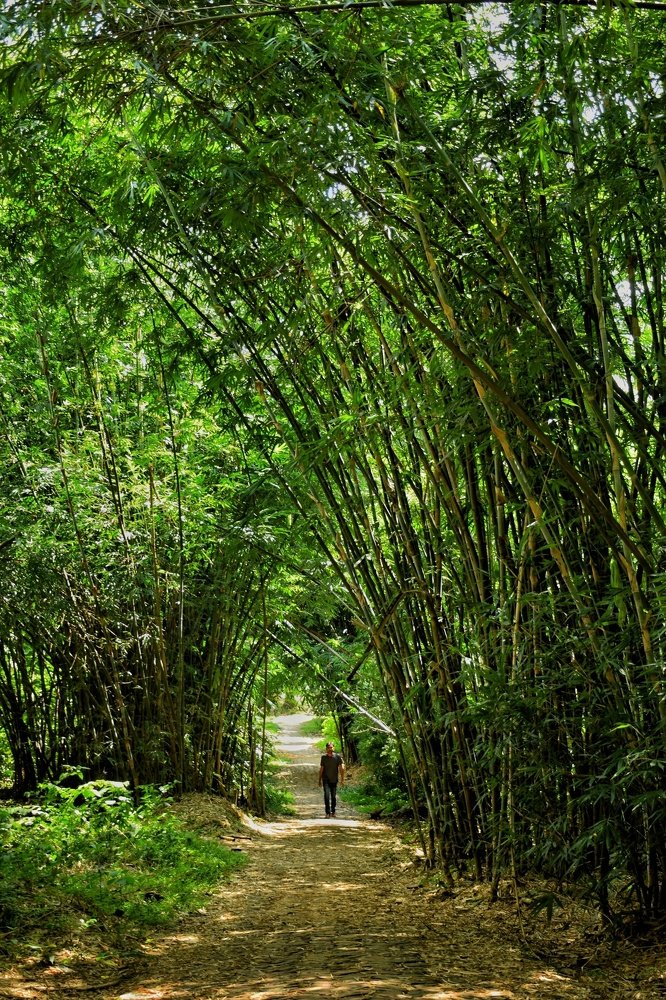 Photograph by Partho Md. Al-Amin