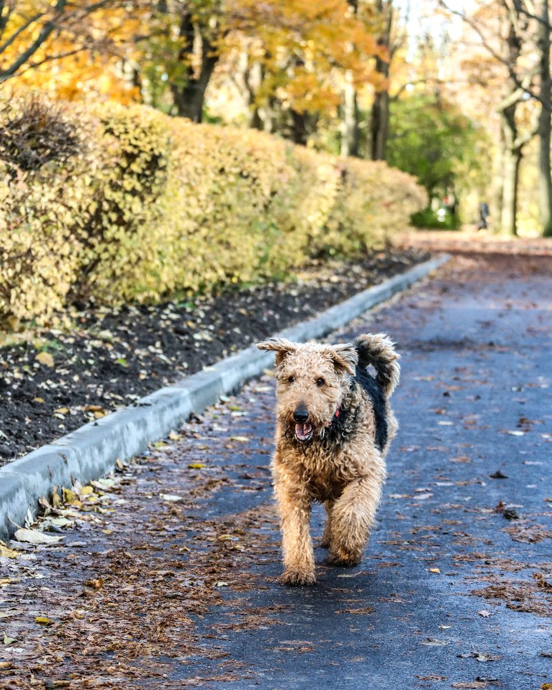 Photograph by Артём Пряхин
