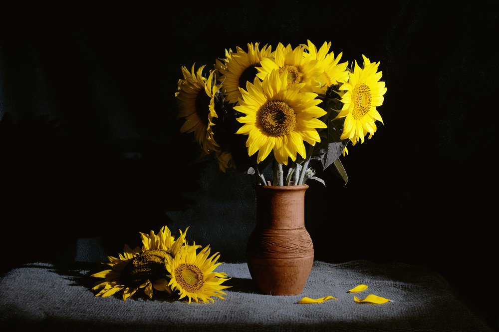 Photograph by Юлия Шестопалова