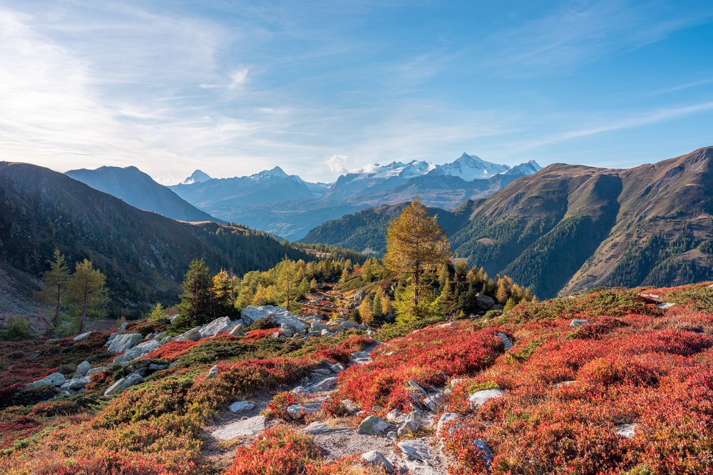 View into the distance