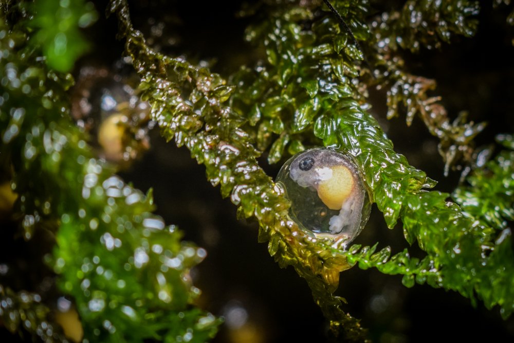 Photograph by Dinesh