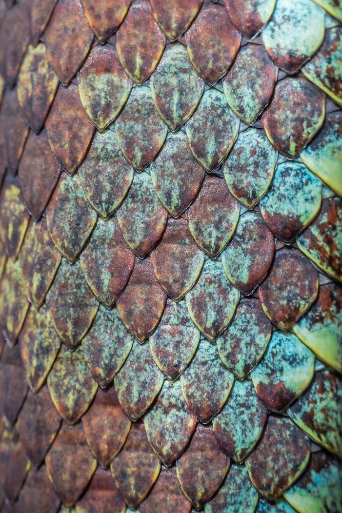 Photograph by Dinesh