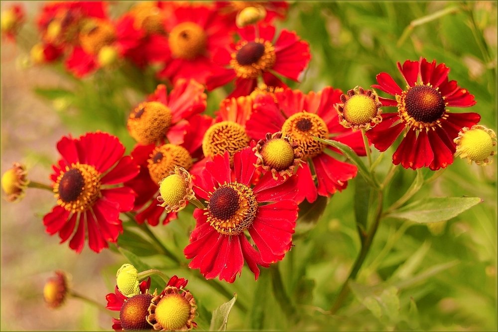 Photograph by Елена Трапезникова