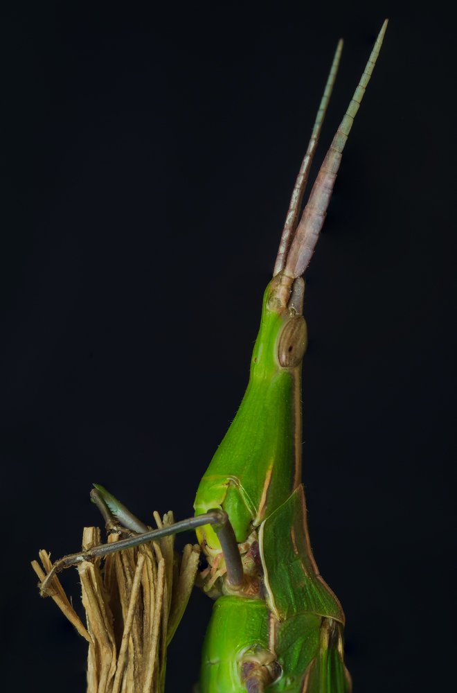 Photograph by Денис Ветренко