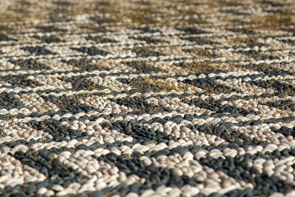 Photograph by Terēze Štube