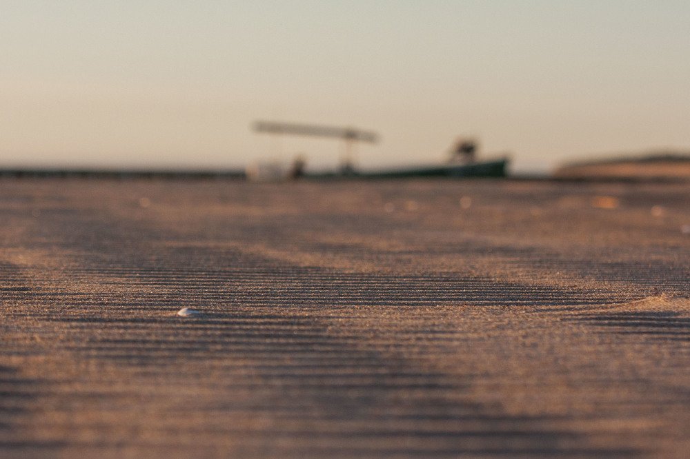 Photograph by Terēze Štube