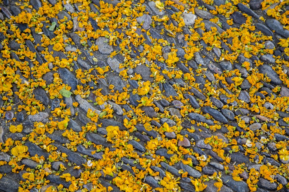 Photograph by Terēze Štube