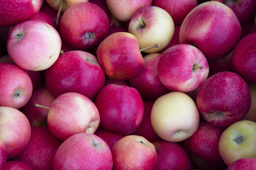 Photograph by Михаил Лавренков