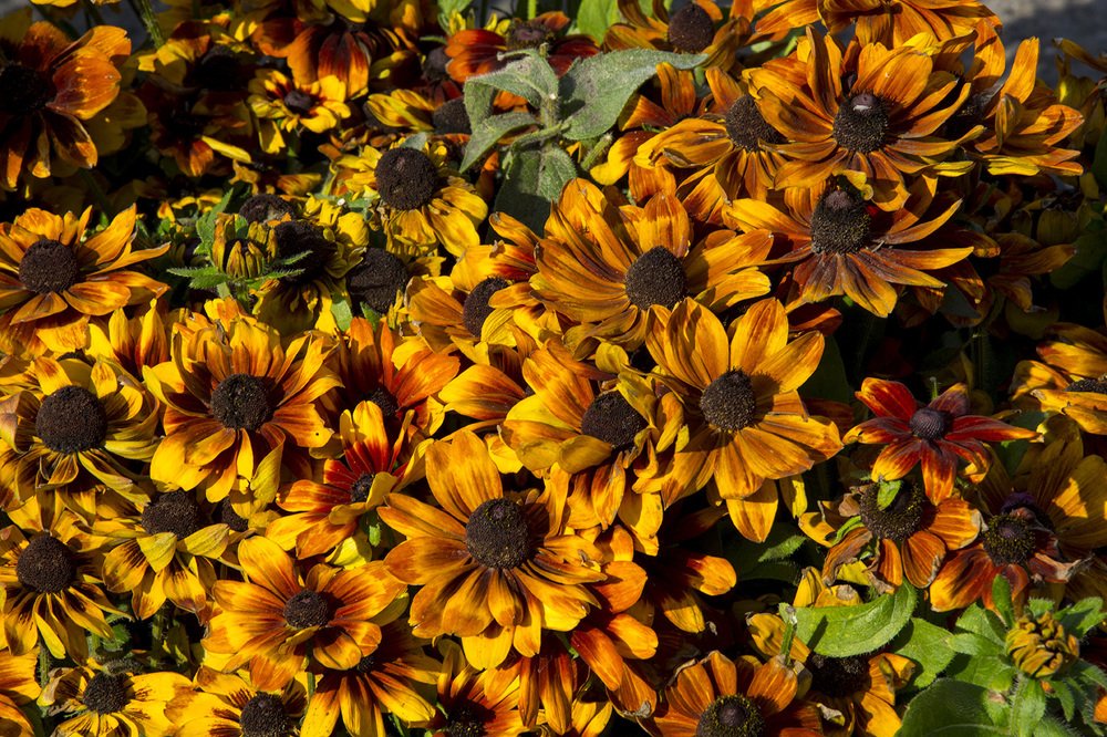 Photograph by Михаил Лавренков