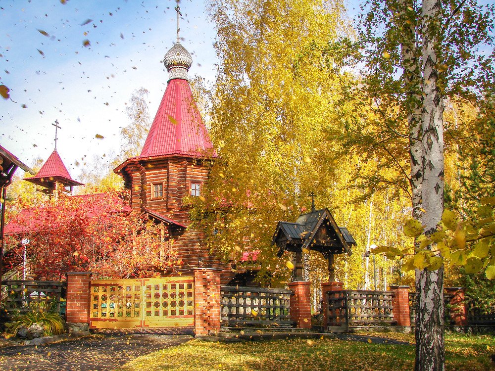 Осенний листопад
