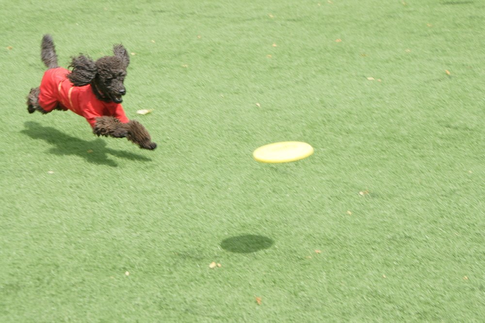 Полет проходит нормально!