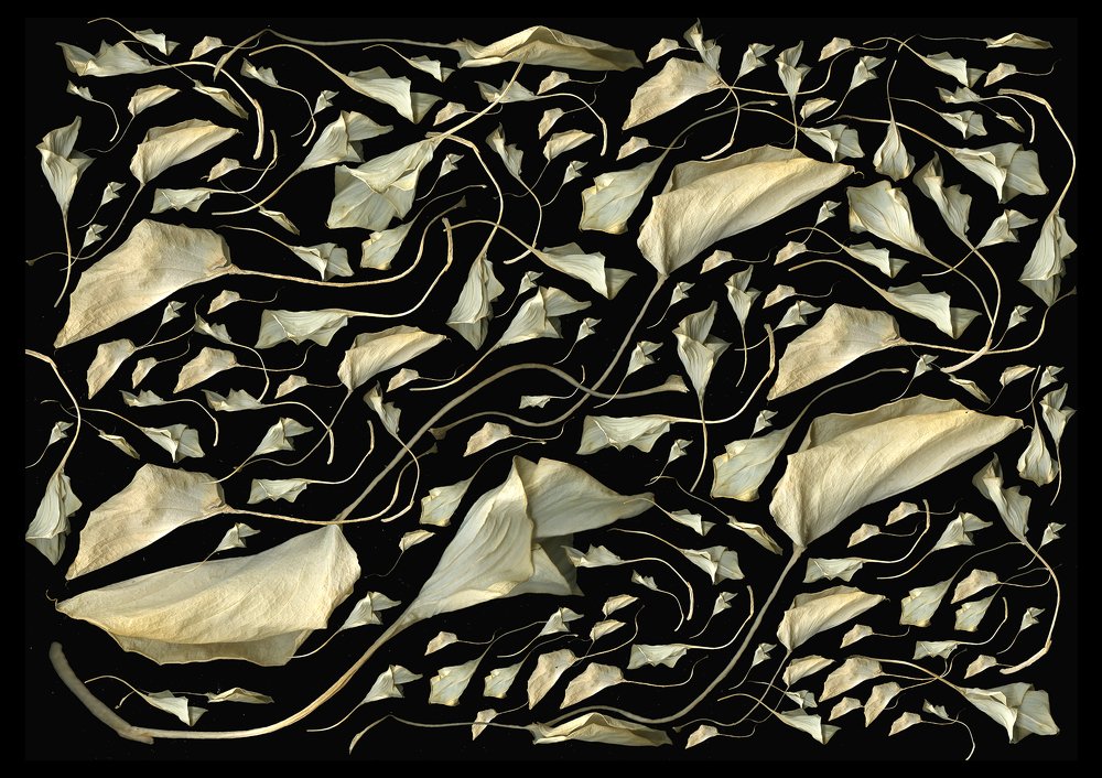 Фотография автора Олег Грачёв