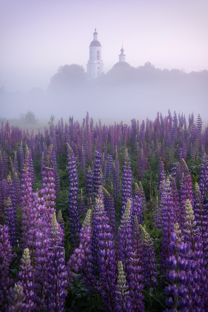 Photograph by Вячеслав Тимошенко