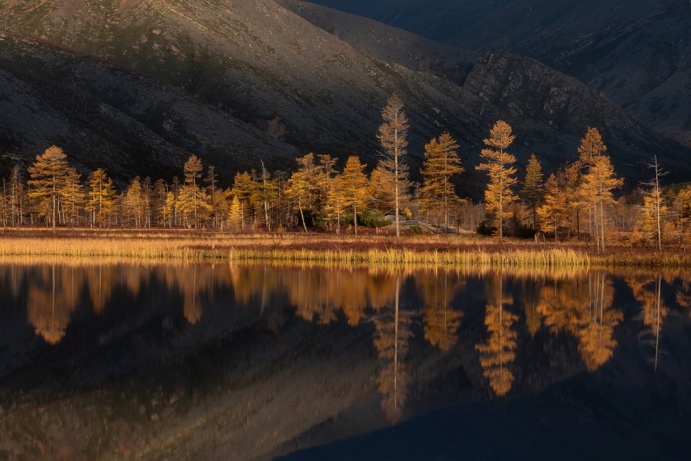 Photograph by Вячеслав Тимошенко