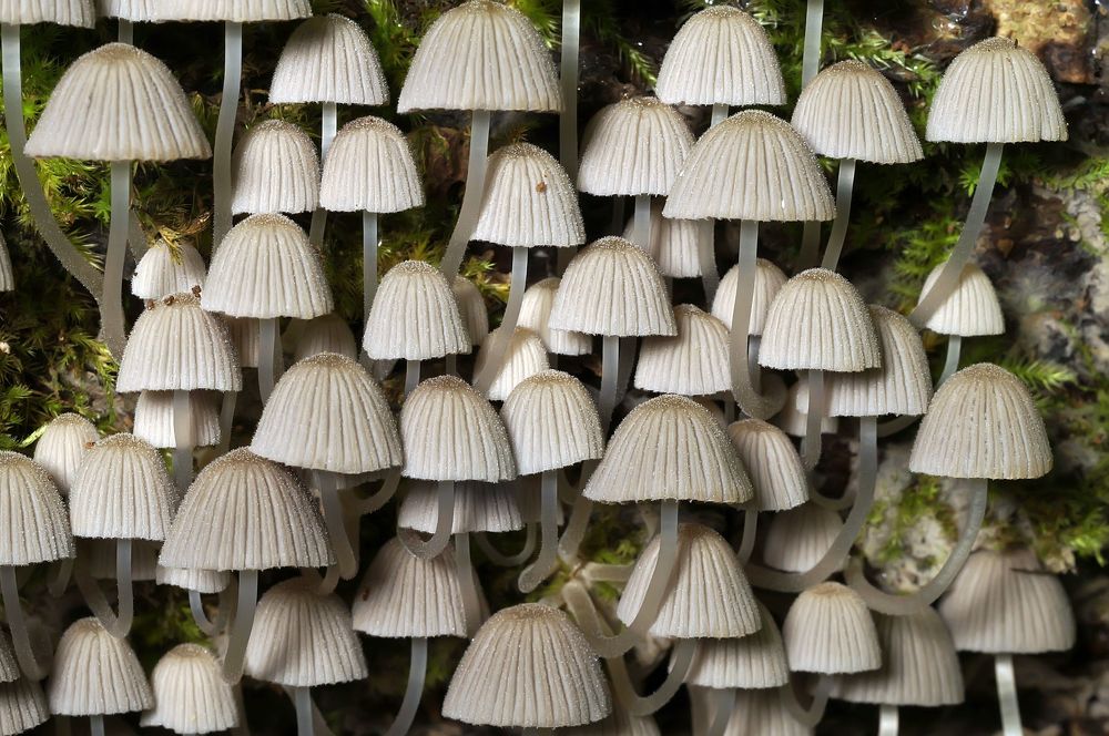 Photograph by Сергей Прокофьев